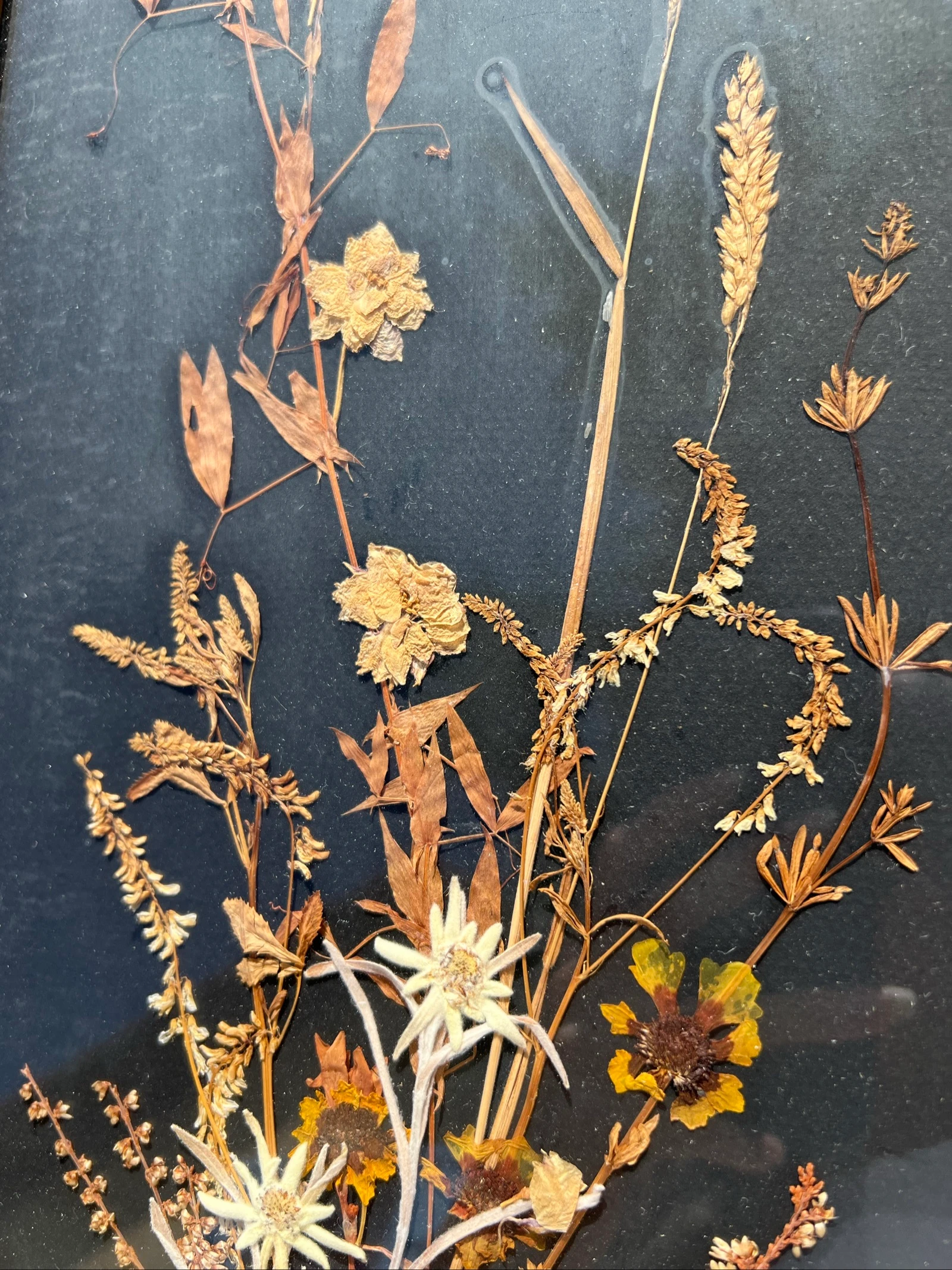 💮 Kadar kruidenboeket gedroogde bloemen Edelweiss vintage hout decoratieve muurkunst natuurlijk 56x26 cm – photo 6